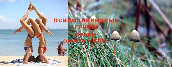 мяу мяу кристалл Арсеньев