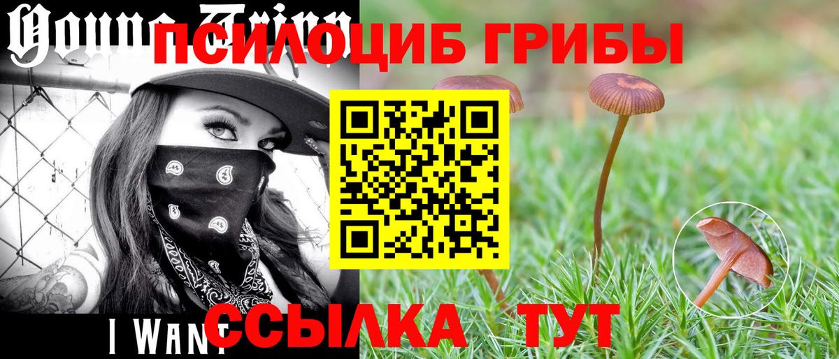 Галлюциногенные грибы Magic Shrooms Радужный
